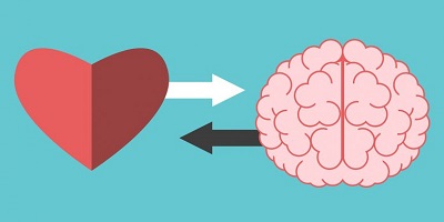 Heart and brain illustration